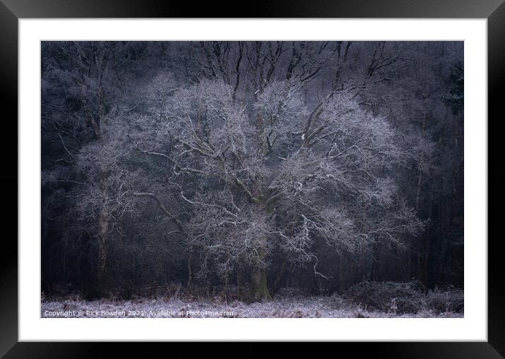 Frost Tree Norwich Norfolk Framed Mounted Print by Rick Bowden