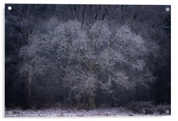Frost Tree Norwich Norfolk Acrylic by Rick Bowden