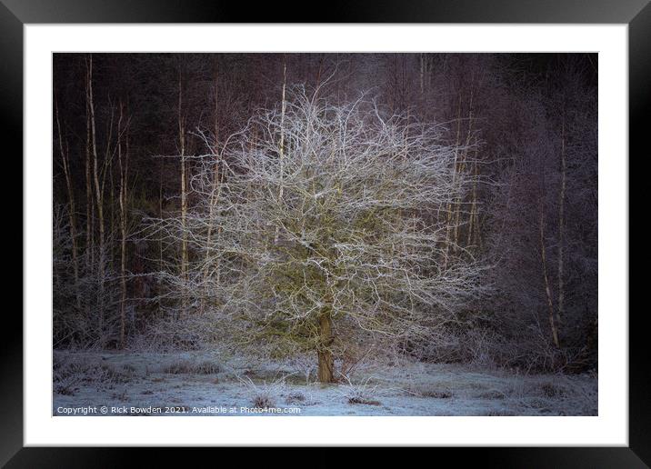 Fosted Hawthorn Norwich Norfolk Framed Mounted Print by Rick Bowden