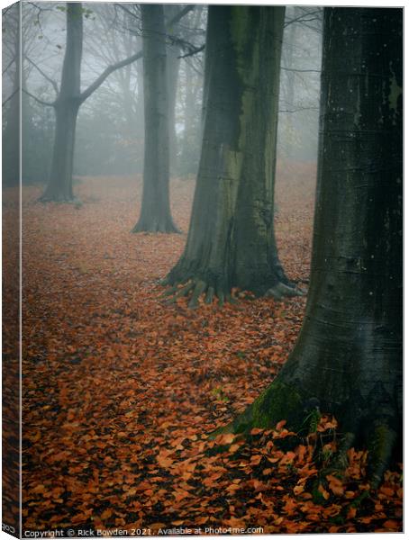 Forest Floor Norwich Norfolk Canvas Print by Rick Bowden