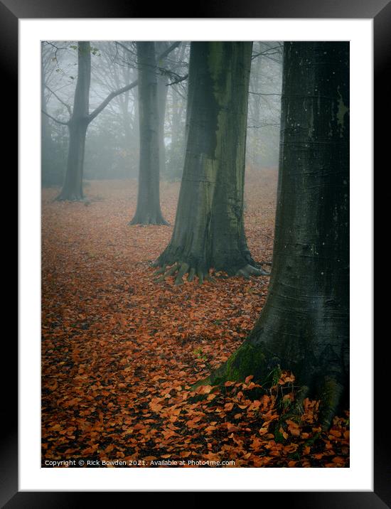 Forest Floor Norwich Norfolk Framed Mounted Print by Rick Bowden
