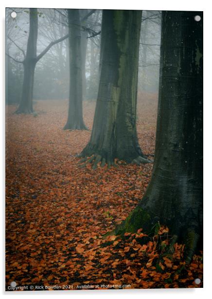 Forest Floor Norwich Norfolk Acrylic by Rick Bowden