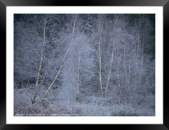White Birches Norwich Norfolk Framed Mounted Print by Rick Bowden