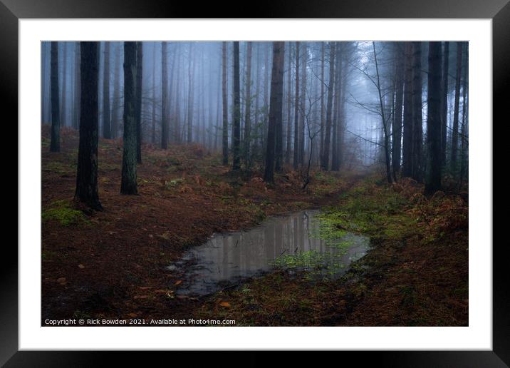 Woodland Norwich Norfolk Framed Mounted Print by Rick Bowden