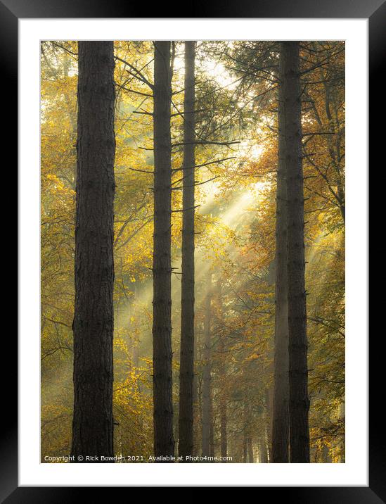 Light Through the Woods Norfolk Framed Mounted Print by Rick Bowden