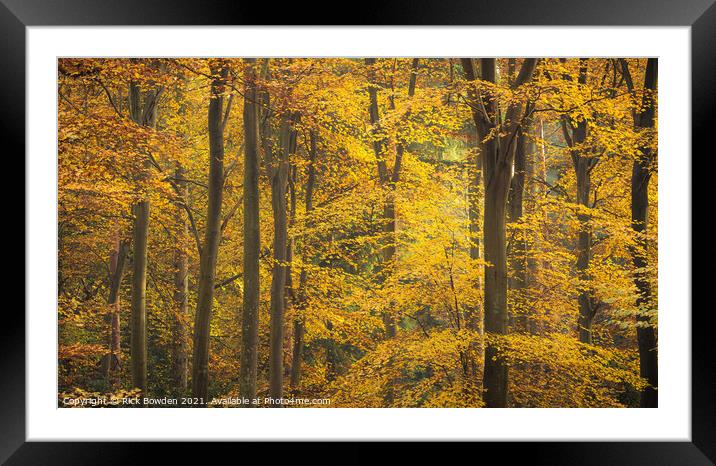 Beeches Norwich Norfolk Framed Mounted Print by Rick Bowden