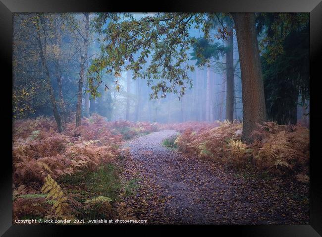 Misty Journey through Drayton Drewery Woods Framed Print by Rick Bowden