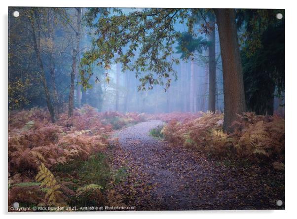 Misty Journey through Drayton Drewery Woods Acrylic by Rick Bowden