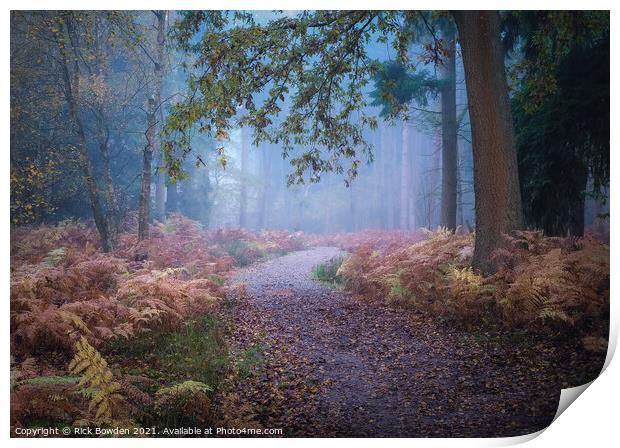 Misty Journey through Drayton Drewery Woods Print by Rick Bowden
