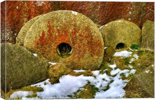 Abandoned millstones Canvas Print by Chris Drabble
