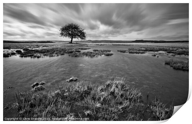 After heavy rain on Middleton Moor (in Mono) Print by Chris Drabble