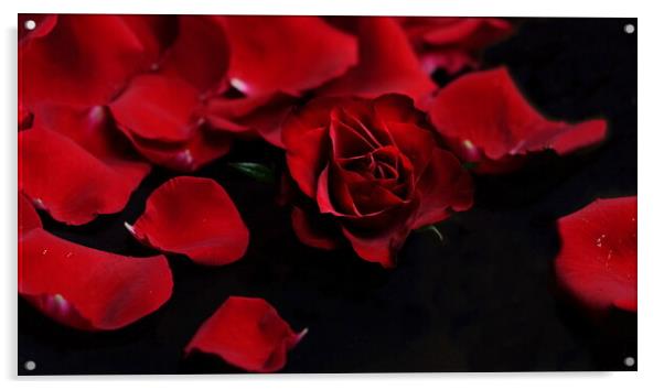 Bed of Roses, Red Roses  Acrylic by Rika Hodgson