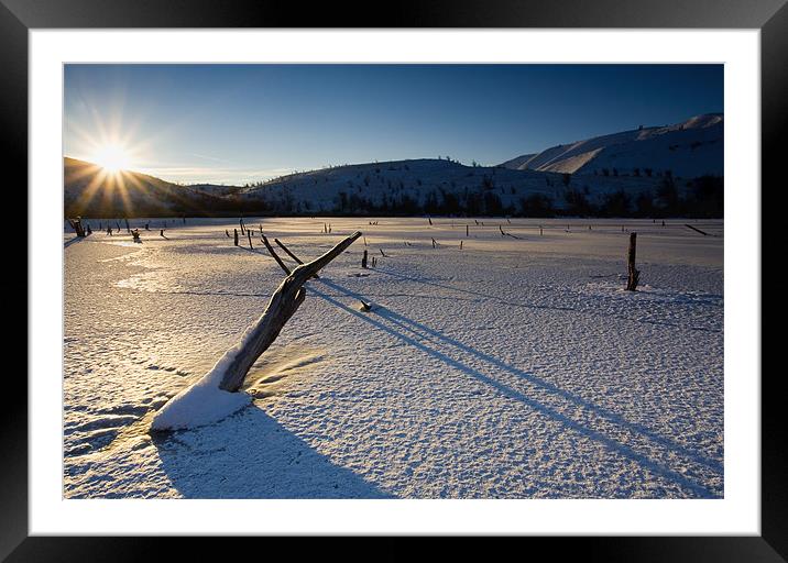 Frozen in Time!  Framed Mounted Print by Mike Dawson