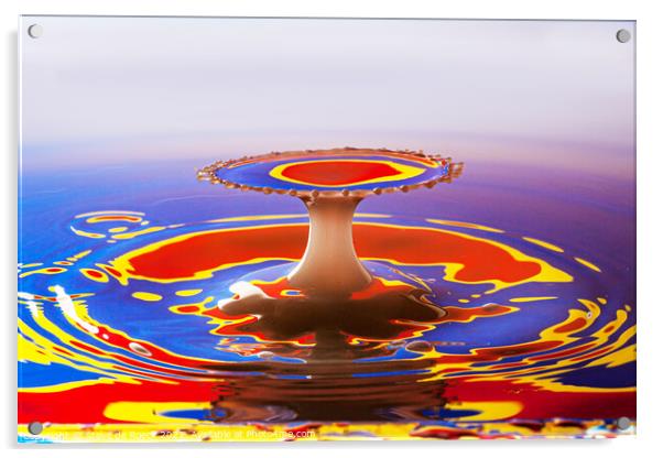 Splash Three Acrylic by Steve de Roeck