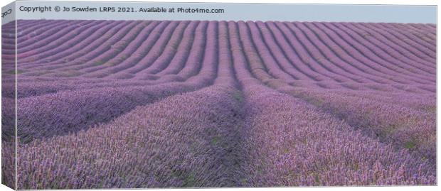 Lavender fields Canvas Print by Jo Sowden