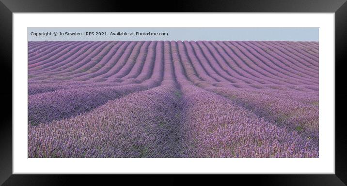 Lavender fields Framed Mounted Print by Jo Sowden