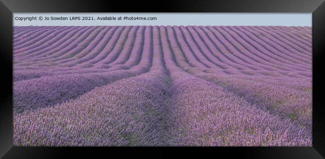 Lavender fields Framed Print by Jo Sowden