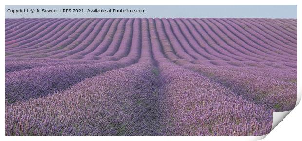 Lavender fields Print by Jo Sowden