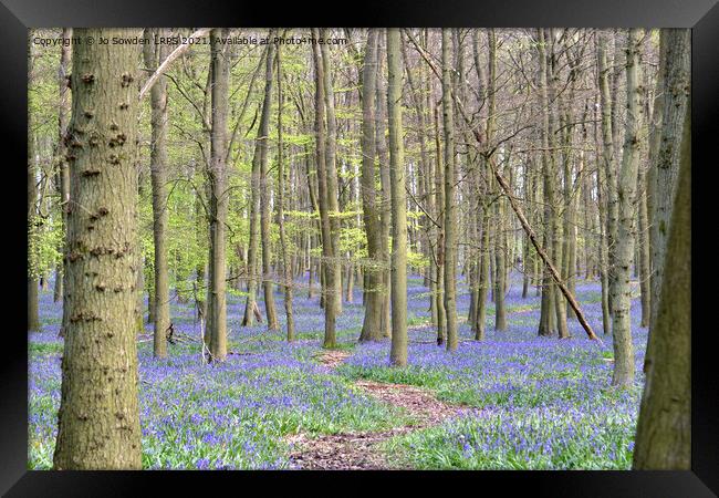 Path through the bluebells Framed Print by Jo Sowden