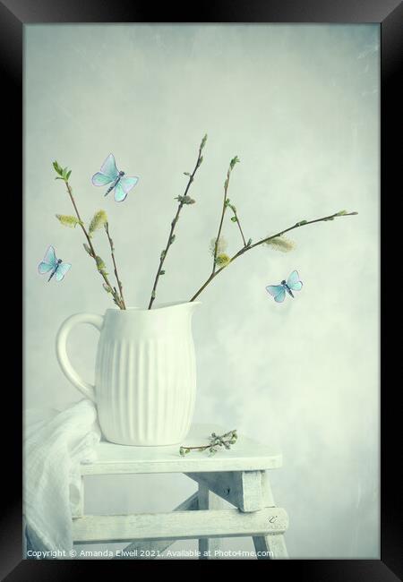 Spring Still Life Framed Print by Amanda Elwell