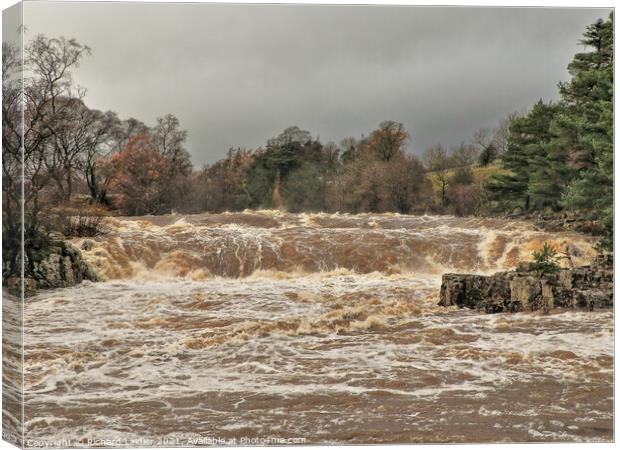Low Force in Full Flood after Storm Desmond Canvas Print by Richard Laidler