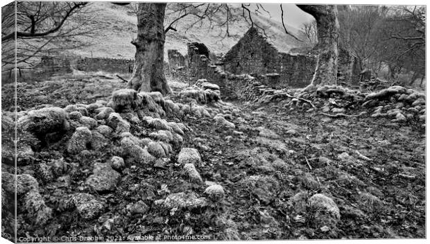 Banktop Farm (2)  Canvas Print by Chris Drabble