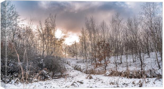 Winters Day Canvas Print by Jason Atack
