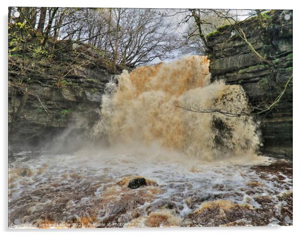 Summerhill Force Waterfall, Teesdale in Full Spate Acrylic by Richard Laidler