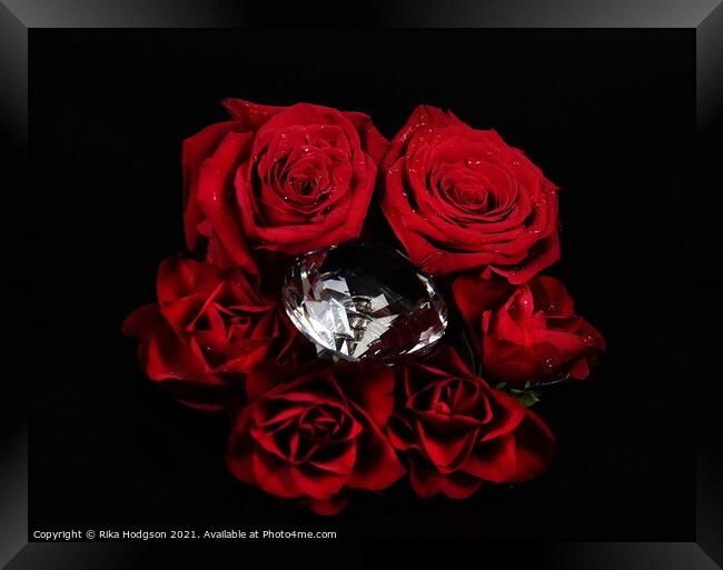 Red Roses and Diamonds  Framed Print by Rika Hodgson