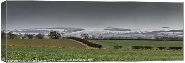 Newsham Moor Wintry Panorama Canvas Print by Richard Laidler