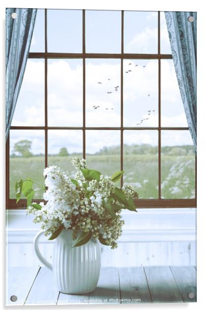 Country Window Acrylic by Amanda Elwell