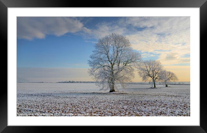 Frozen trees Framed Mounted Print by Chris Drabble