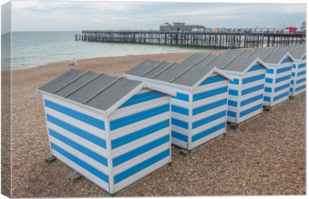 The Charming Hastings Beach Huts Canvas Print by Graham Custance