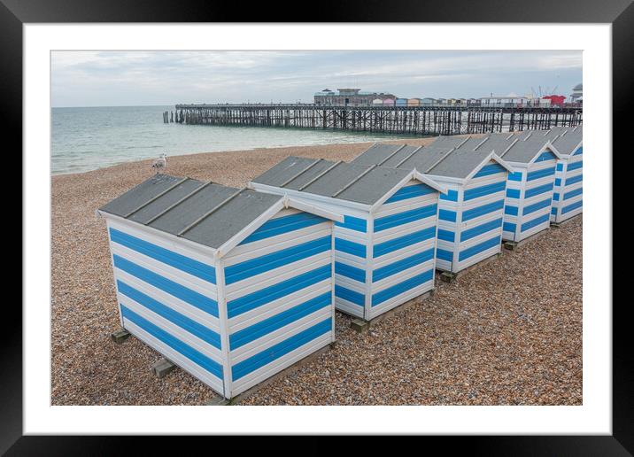 The Charming Hastings Beach Huts Framed Mounted Print by Graham Custance