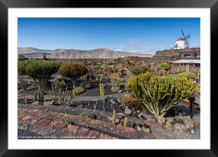 Cactus Galore Framed Mounted Print by Jim Monk