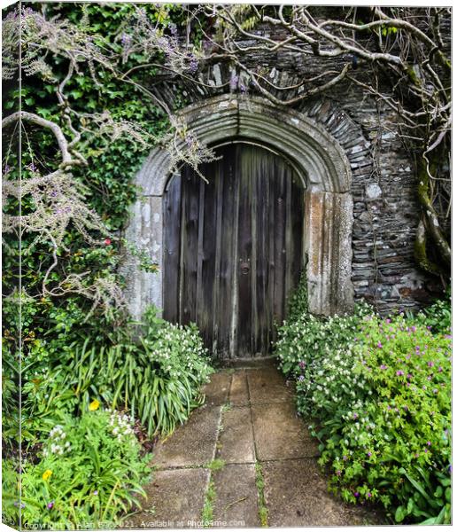 Old Wood Door in Stone Wall Canvas Print by Allan Bell