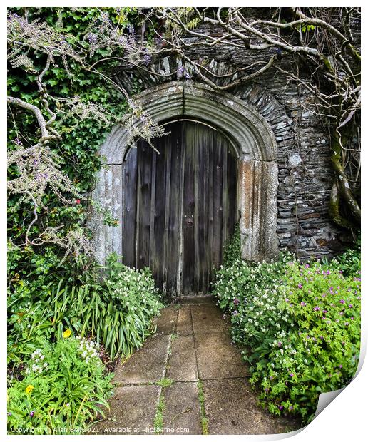 Old Wood Door in Stone Wall Print by Allan Bell