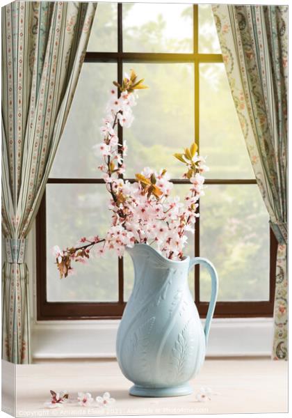 Vase Of Spring Blossom Canvas Print by Amanda Elwell