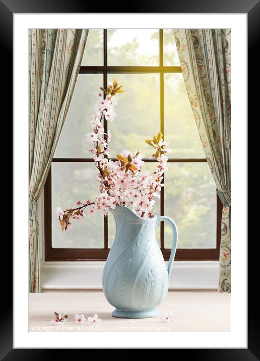 Vase Of Spring Blossom Framed Mounted Print by Amanda Elwell