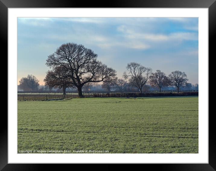 Winter Morning Framed Mounted Print by Angela Cottingham