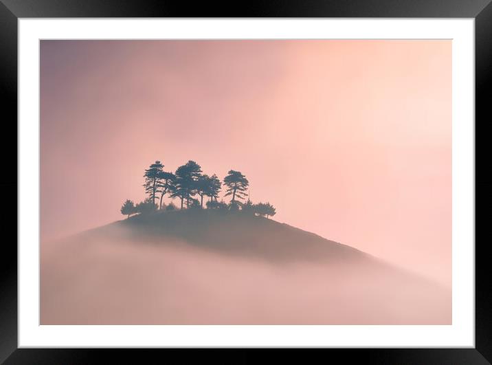 Trees in the Mist Framed Mounted Print by David Neighbour