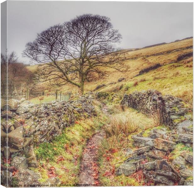 Path across the tops to Anfield Reservoir Canvas Print by Sarah Paddison