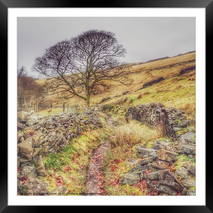 Path across the tops to Anfield Reservoir Framed Mounted Print by Sarah Paddison
