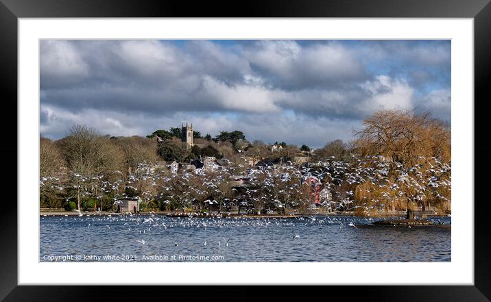 Helston Cornwal Seagulls in Helston boating lake Framed Mounted Print by kathy white