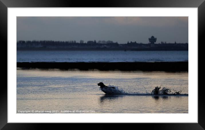 Walks at Sunset along New Brighton Shore Framed Mounted Print by Photography by Sharon Long 