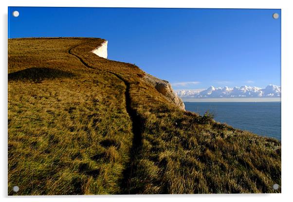 Climbing Path on the White Cliffs of Dover Acrylic by Serena Bowles