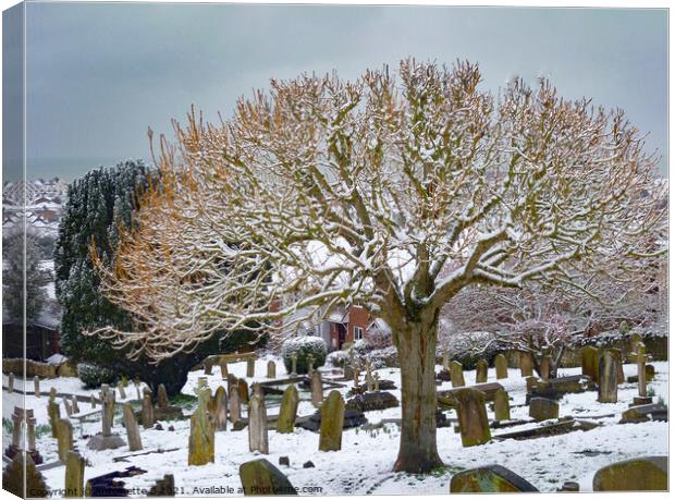 A dusting of snow in the churchyard  Canvas Print by Antoinette B