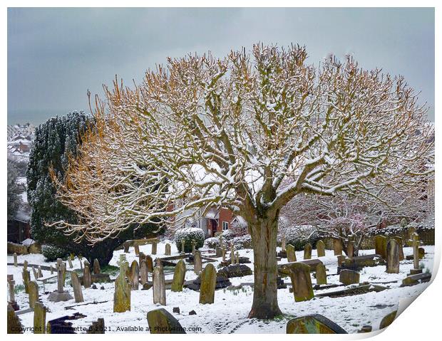 A dusting of snow in the churchyard  Print by Antoinette B
