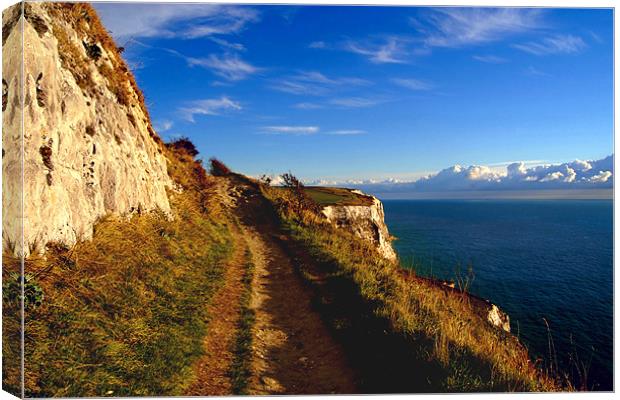 White Cliffs of Dover - Cliff Edge Canvas Print by Serena Bowles