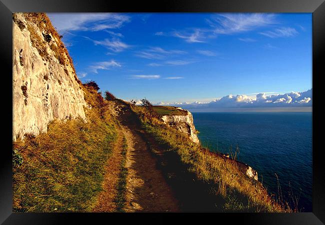White Cliffs of Dover - Cliff Edge Framed Print by Serena Bowles